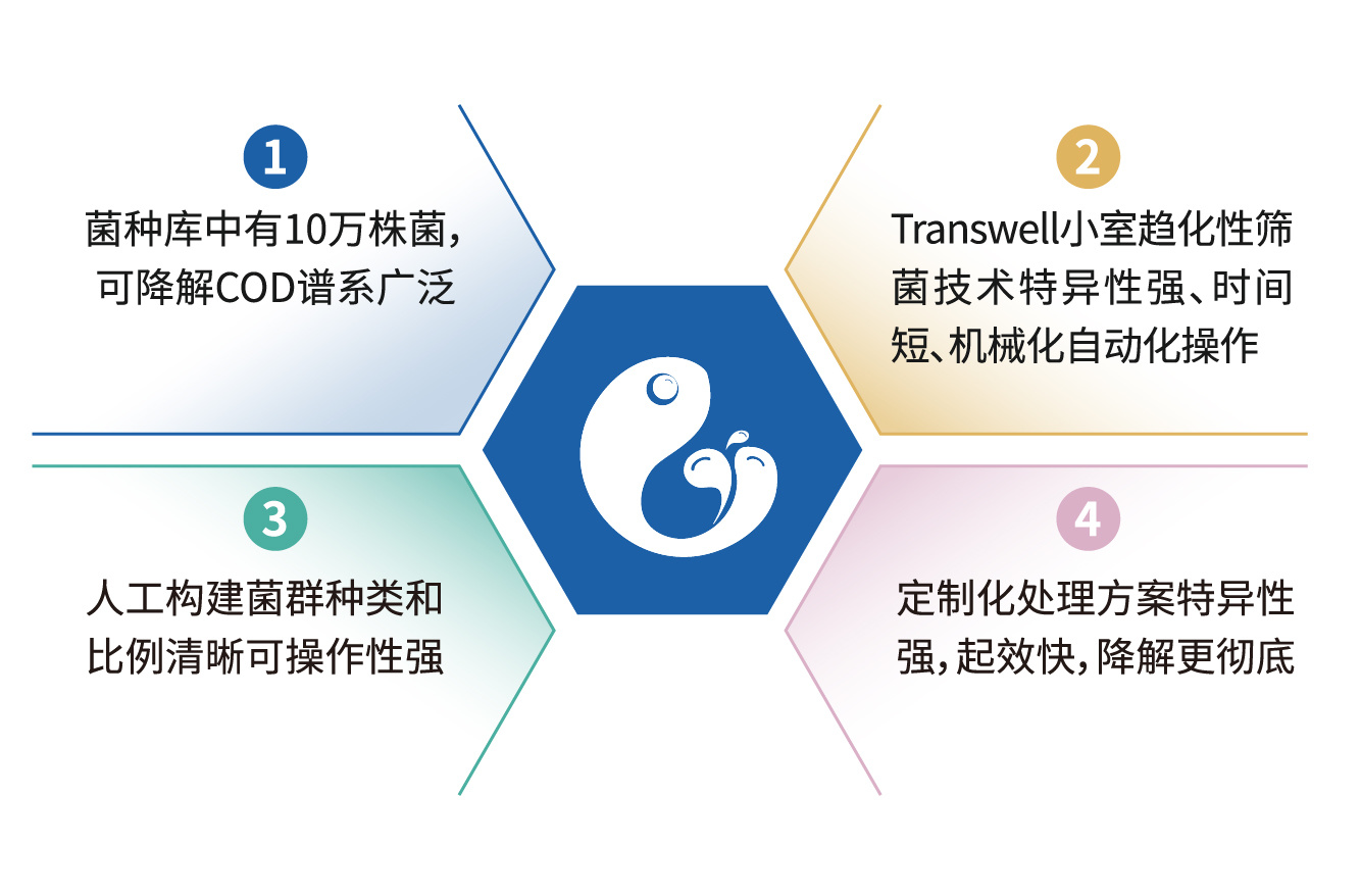 定制化菌种去除难降解COD技术